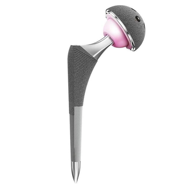 Sistema de semi cadera sin cemento